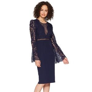 Bardot Faedra Lace Dress